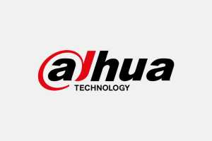 2ds dahua